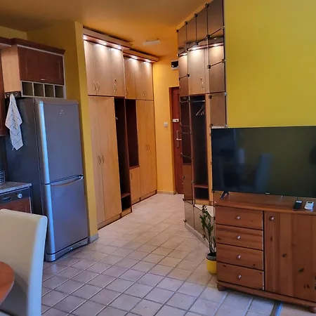 Kiss-fueredi Apartment